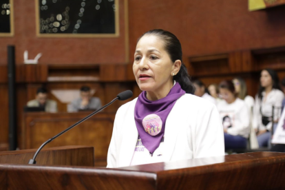 Anabel Campos es una abuela, que tuvo que hacer el papel de madre de su nieto desde hace cinco años. Su hija fue víctima de femicidio.