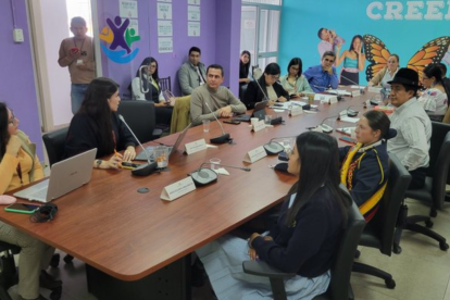 La comisión que trata el proyecto de Código Orgánico de la Niñez y Adolescencia está presidida por Pierina Correa.