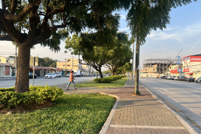 Árboles. El parterre goza de grandes árboles y de césped, poco arbusto. Al final de esta zona está el Área Nacional de Recreación Los Samanes o también conocido como Parque Samanes.