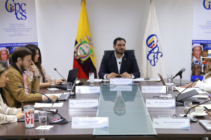 El Cpccs sesionó este 25 de noviembre por comisionada/postulante.