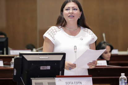 Sofía Espín envió una solicitud a Pamela Aguirre para iniciar la fiscalización de los supuestos chats de Fernando Villavicencio.