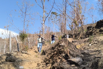 Habitantes y miembros de colectivos retiraron las cenizas y limpiaron las áreas afectadas por el incendio.