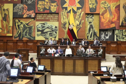 El Pleno de la Asamblea tratará leyes del Ejecutivo este 27 de noviembre.