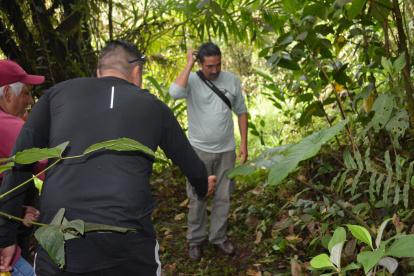 En el corredor Llanganates- Sangay se encuentran 9 mil hectáreas de bosques protegido.
