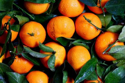 Conoce la fruta que podría salvar tus riñones si la comes todos los días.