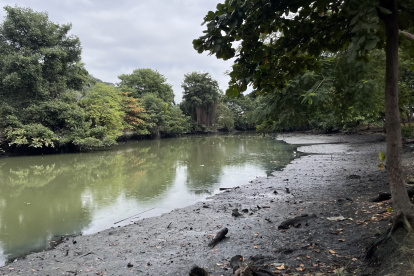 La contaminación de los cuerpos de agua del país es un tema que preocupa a la academia; sin embargo, en los planes de trabajo de los presidenciables escasean las soluciones.