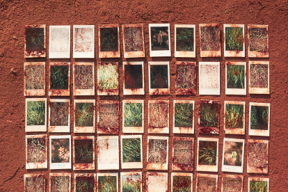 Este año la feria de arte se enfocará en la fotografía.