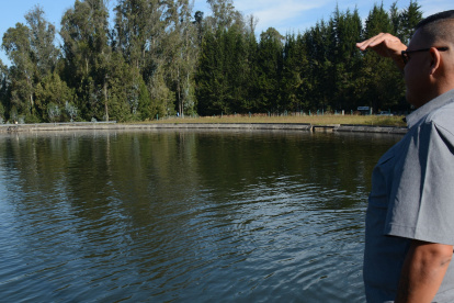 Un estudio con datos de la Epmaps señala que desde julio existían registros del descenso del nivel de agua para Quito.