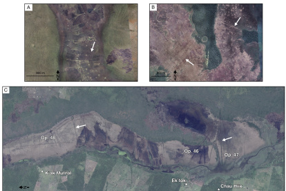 Paisajes de llanuras aluviales estacionales con presas para peces que se asemejan a las del Crooked Tree. Las imágenes de satélite incluyen (A) una pesquería contemporánea en Zambia, África; (B) una antigua pesquería en la Amazonía boliviana; y (C) la antigua pesquería en la Laguna Occidental, Belice. Crédito: Todas las imágenes son cortesía de Google Earth. Harrison-Buck et al.