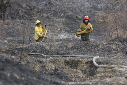 El intenso calor contribuyó a que las llamas de propaguen con mayor facilidad.