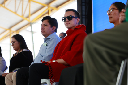 El presidente de la República, Daniel Noboa.