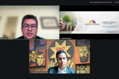 La sesión de la mesa de Desarrollo Económico se realizó de forma virtual.