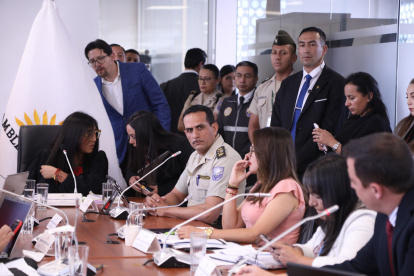 Proceso. El Jefe nacional de la Policía, Víctor Zarate indicó que no hay 2000 hectáreas de cultivos de coca en Ecuador.