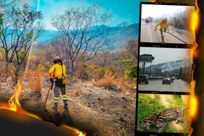 El suceso fue dado a conocer en X.