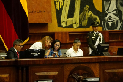 La presidenta de la Asamblea, Viviana Veloz, en una de las últimas sesiones.