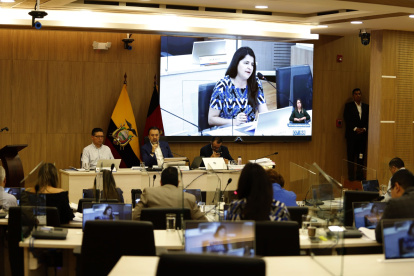 Imagen de la sesión del Concejo Metropolitano de este 3 de diciembre de 2024.