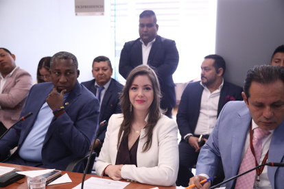 La asambleísta del correísmo, Mónica Palacios.