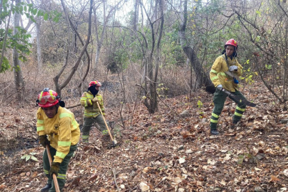 Bomberos realizaron tareas para sofocar los pequeños focos activos en el Cerro Azul.