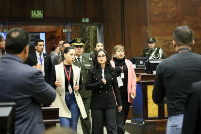 La presidenta de la Asamblea, Viviana Veloz.