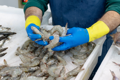 El Ministerio de Producción de Ecuador asegura que sostiene conversaciones con las autoridades de Brasil para levantar la suspensión.