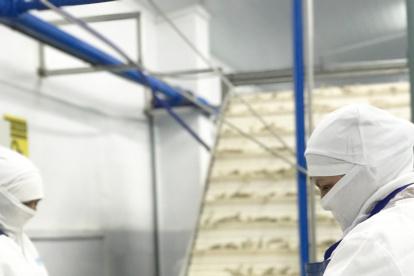 Brasil bloquea la importación de camarón desde Ecuador.