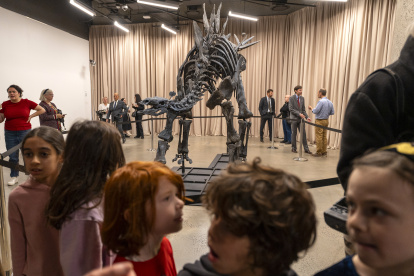 Niños y adultos observan el Apex