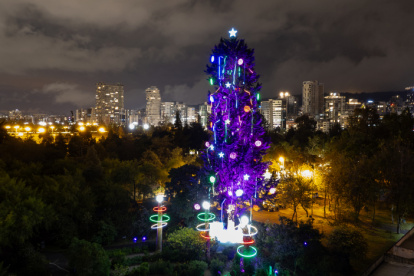 Este ciprés de 30 metros de altura y más de 35 años de vida, se ilumina con los colores de la Navidad y se encuentra en el Jardín Botánico
