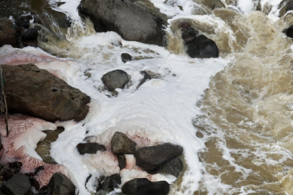 Activistas defendieron los derechos del río Machángara, que tiene un estado de contaminación grave.