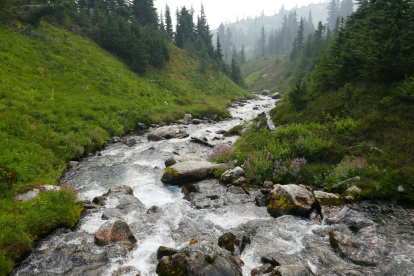 Un informe de Etapa determina que las afectaciones ambientales traspasarán las 2.149 hectáreas del área de concesión minera.