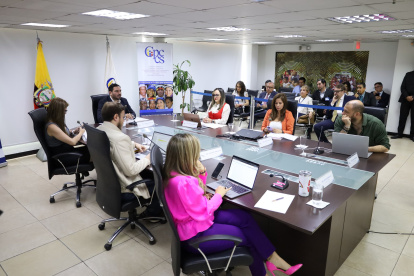 Andrés Fantoni preside el Pleno del Consejo de Participación Ciudadana.