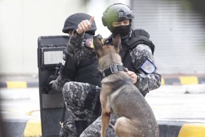 La Policía Nacional junto a un can antiexplosivos antes de inspeccionar que contenían los paquetes.