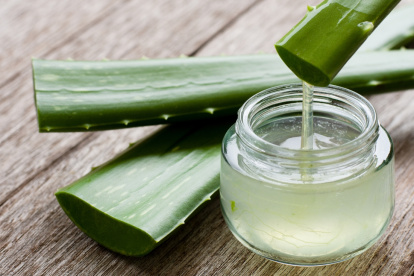 Descubre el poder del aloe vera para tu bienestar digestivo.