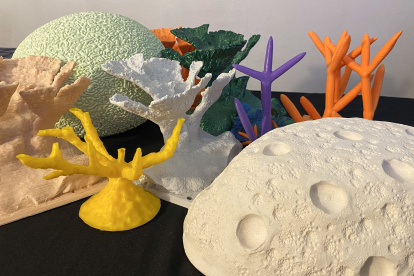 Fotografía del 21 de noviembre de 2024 de unos corales creados con Ácido poliláctico (PLA, en inglés) durante una entrevista con EFE en la sede de la Sociedad en San Juan (Puerto Rico). EFE/Esther Alaejos