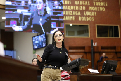 Presidenta. Viviana Veloz confunde lo constitucional con lo electoral. Ella prefiere hablar de impuestos.