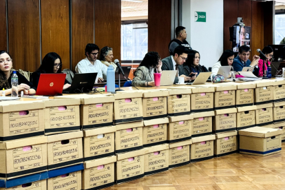 Audiencia en el caso Purga.