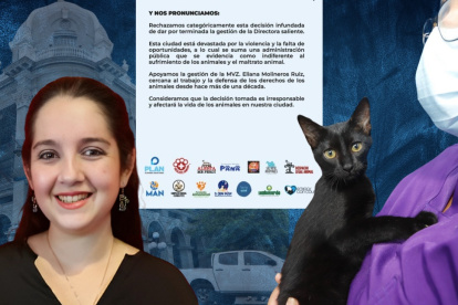 Las reacciones se difundieron en redes sociales.