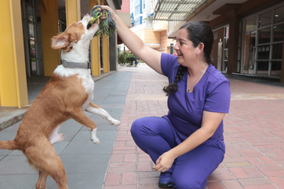 Eliana Molineros deja la Dirección de Bienestar Animal.