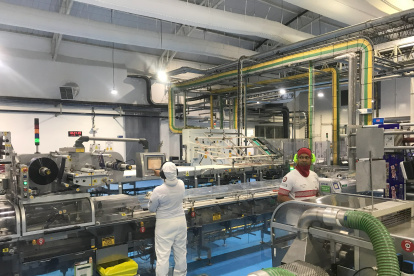 TRABAJADORES LABORANDO EN EMPRESA FECHA:18/12/2024 AG-PERIODISTA GA-EXPRESO AG-GRANASA