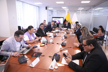 La Comisión de Participación Ciudadana aprobó iniciar dos procesos de fiscalización