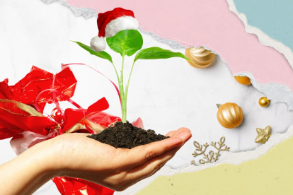 El 89 % de los residuos del país es aprovechable, pero solo el 4 % se recicla.