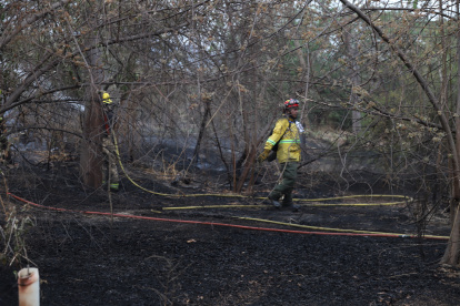 Un incendio forestal se registra junto a la autopista Narcisa de Jesús, en el norte de Guayaquil, la tarde de este jeuves 19 de diciembre.