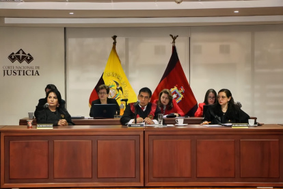 José Suing, presidente de la Corte Nacional de Justicia, dirige el pleno convocado este viernes a las 20 de diciembre de 2024.