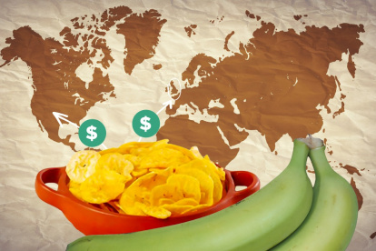 El plátano verde, a través del chifle, triunfa en el mercado internacional.