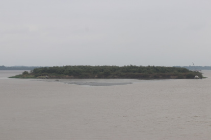 Sedimentación en el río Guayas.
