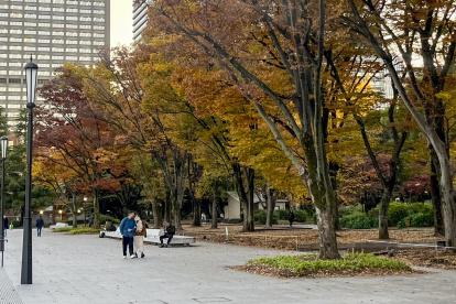 Una pausada melodía resuena religiosamente cada día a las cinco de la tarde en todos los rincones Japón.