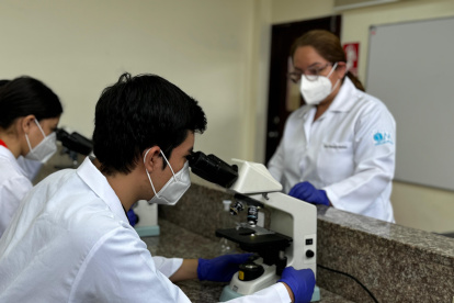 Cátedra. Estudiantes y docentes investigan en laboratorios universitarios el genoma materno y el de plantas.
