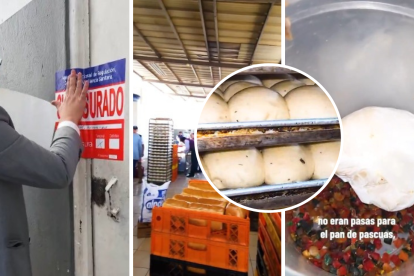 En los locales se encontraron plagas