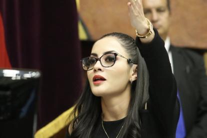 La presidenta Viviana Veloz dispuso el ingreso del amicus curiae