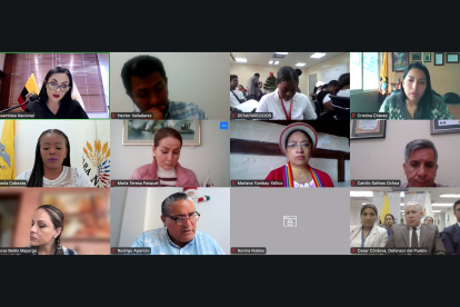 Comparecencias. Aunque la sesión fue virtual, solo el defensor del Pueblo encargado, César Córdova, acudió al llamado de la Asamblea Nacional