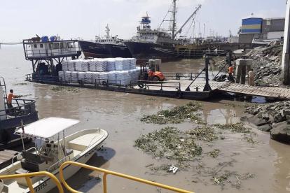 Los robos han sido una constante este año en piscinas camaroneras, pero se intensifican por esta época.